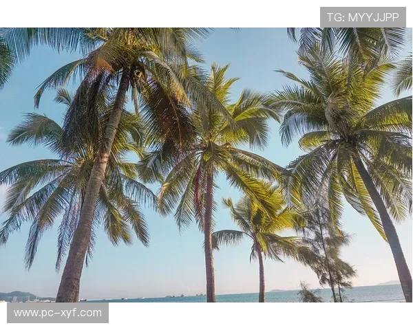 三亚娱乐在线：三亚娱乐在线最新资讯，掌握第一手海岛娱乐动态