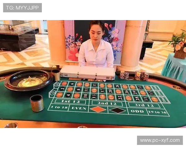 专业百家乐游戏平台攻略，掌握投注技巧提升胜率享受极致游戏乐趣